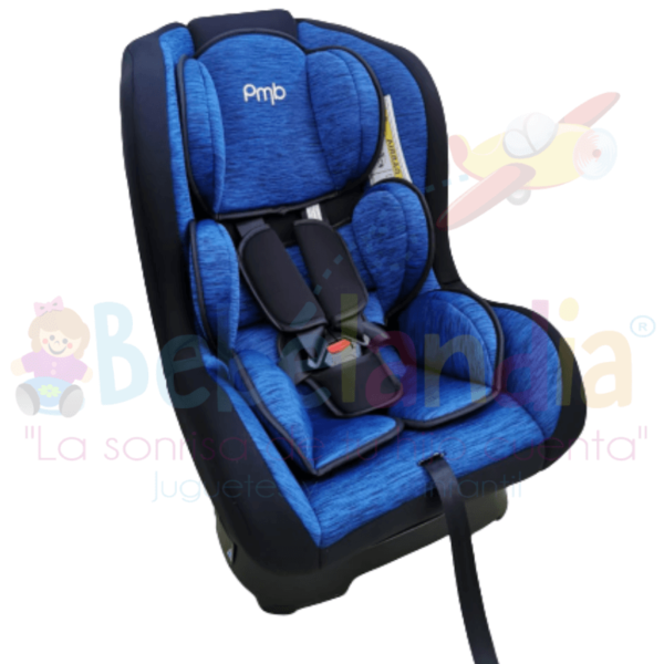 Silla de Carro Rio