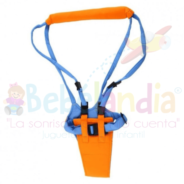 Arnés para Aprender a Caminar - Imagen 3