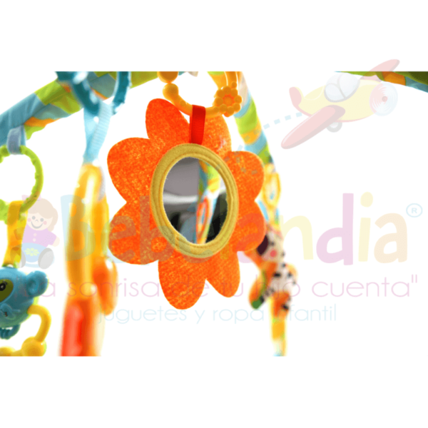 Gimnasio - Imagen 3