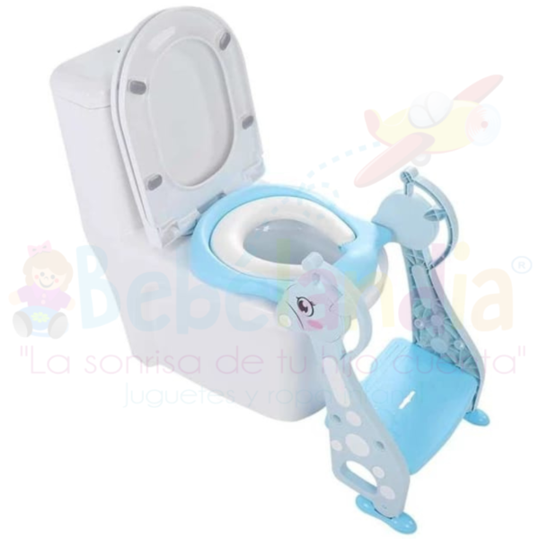 Adaptador baño con escalera