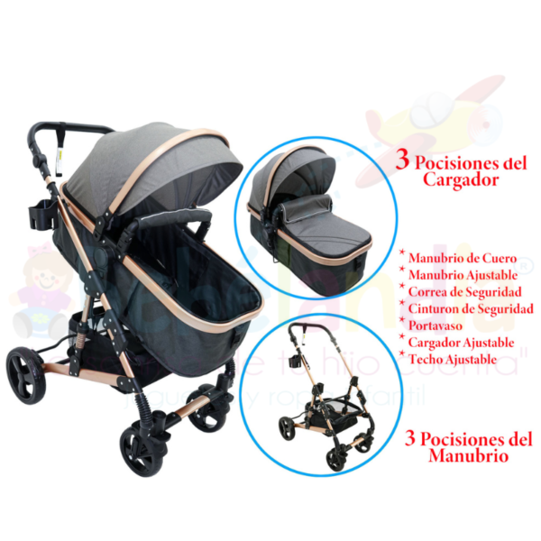 Coche Moises