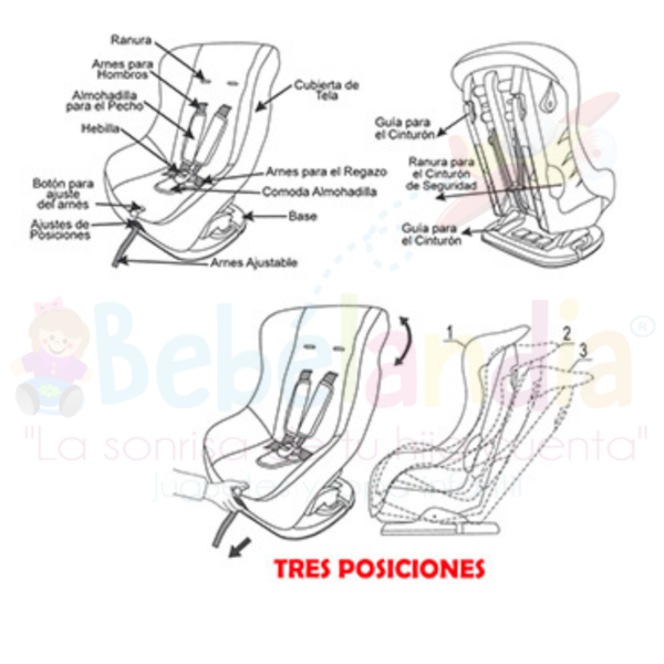 Silla de Carro - Imagen 2