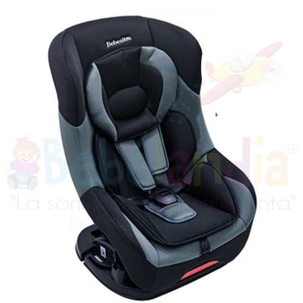 Silla de Carro