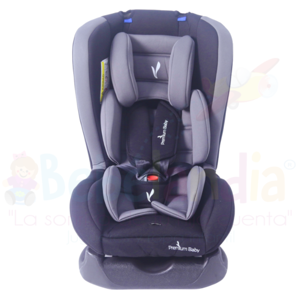 Silla de Carro Marsella - Imagen 2