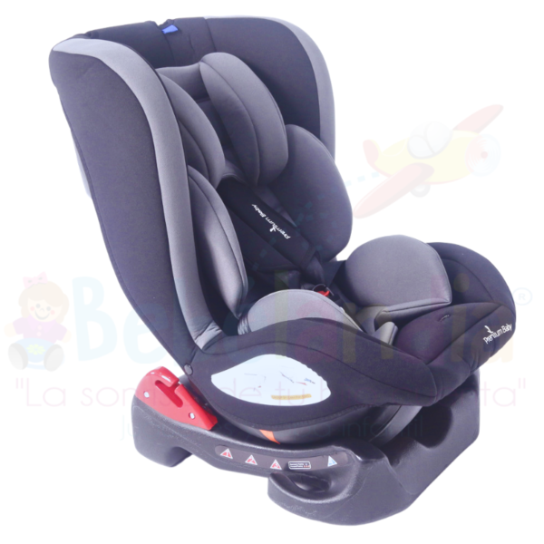 Silla de Carro Marsella - Imagen 3