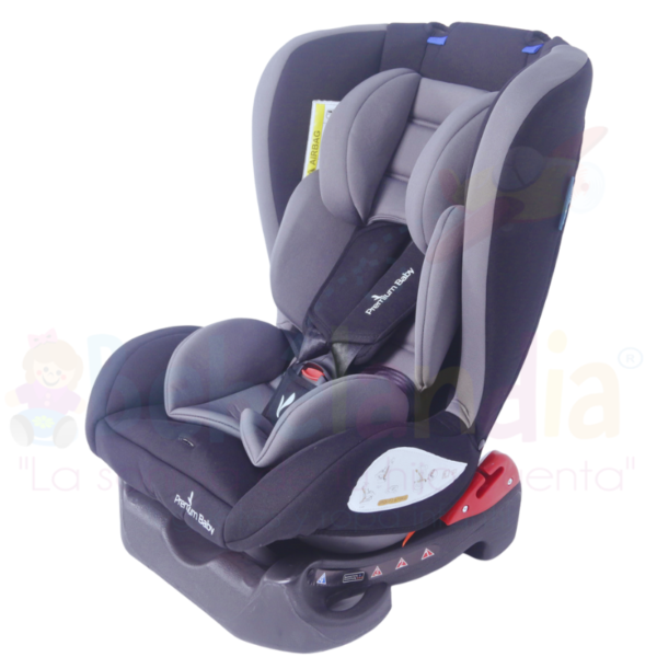 Silla de Carro Marsella - Imagen 7