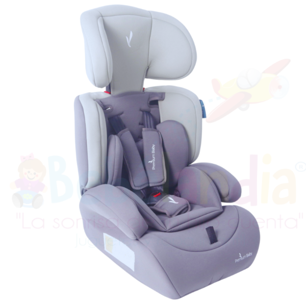 Silla de Carro Lyon - Imagen 5