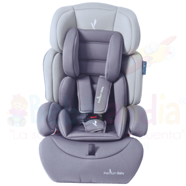 Silla de Carro Lyon - Imagen 2