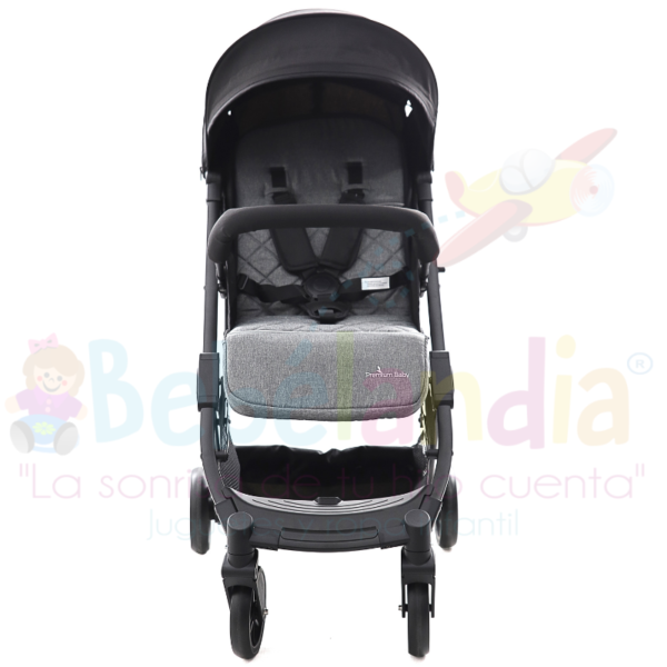 Coche Argus - Imagen 2