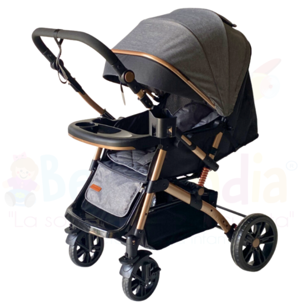 Coche RIO Reversible