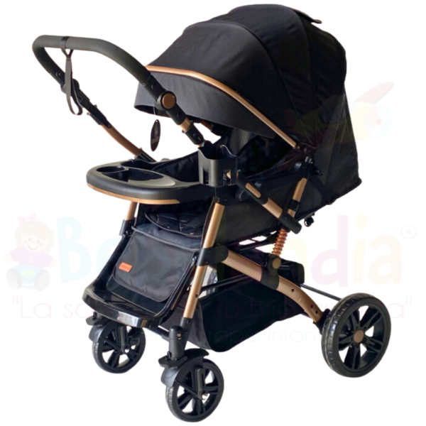 Coche RIO Reversible