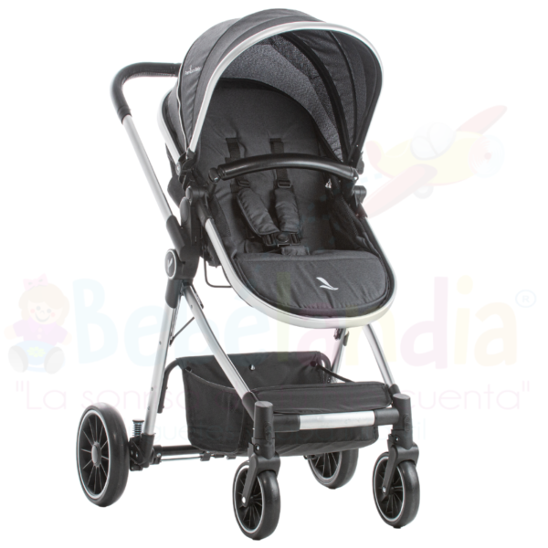 Coche Moises Mike