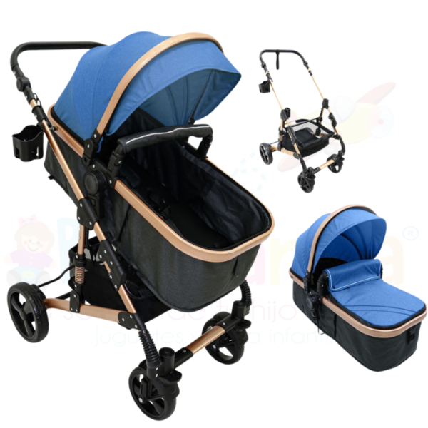 Coche Moises