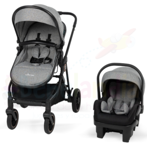 Coche Moises con Portabebe Anna