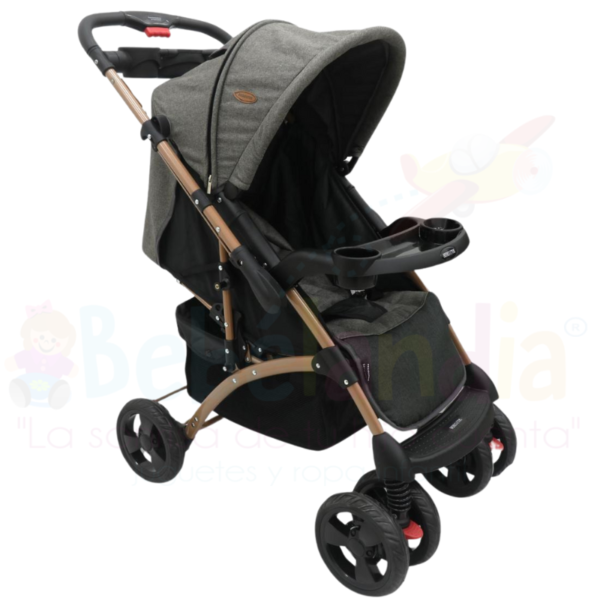 Coche Reversible