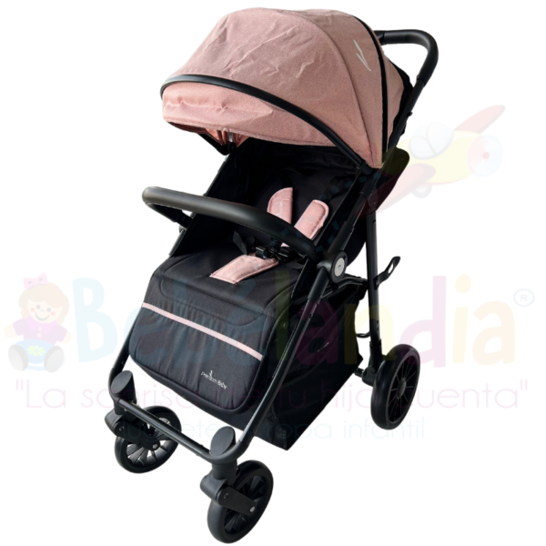 Coche Minos