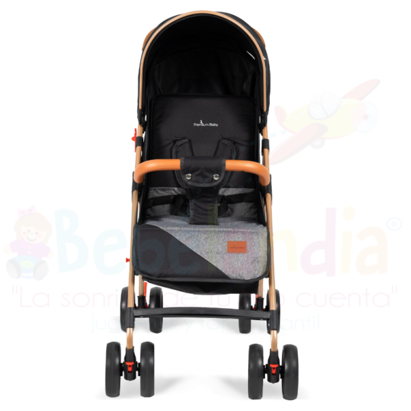 Coche Park - Imagen 4