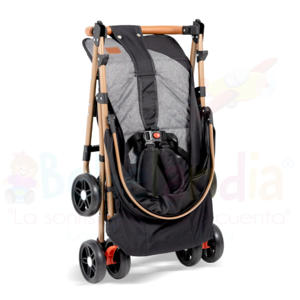 Coche Park - Imagen 5