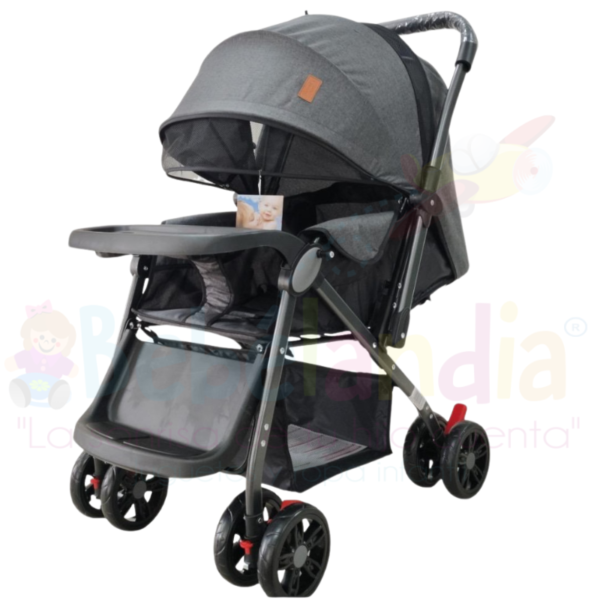 Coche Reversible