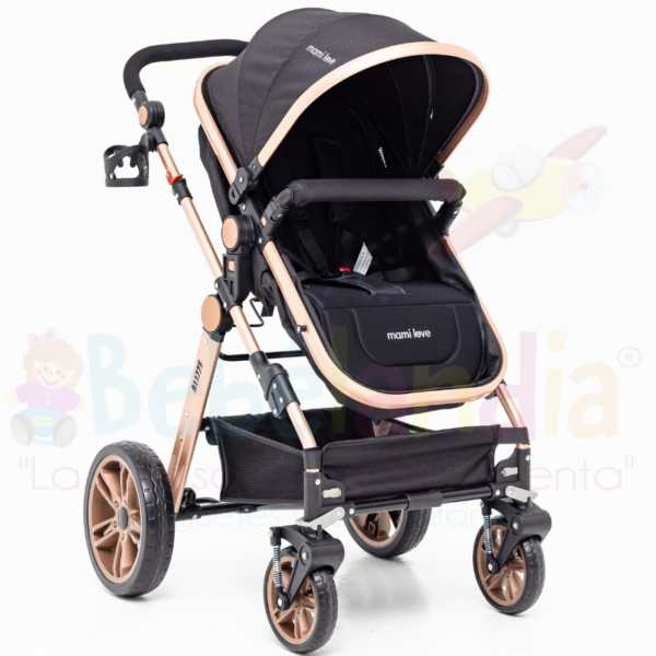 Coche Moises