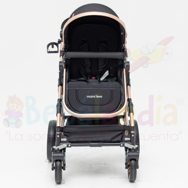 Coche Moises - Imagen 3