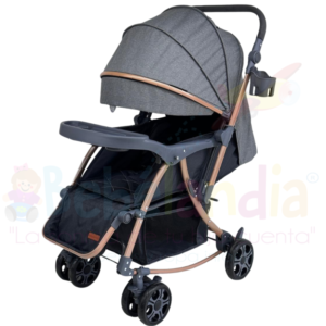 Coche Mecedor Reversible