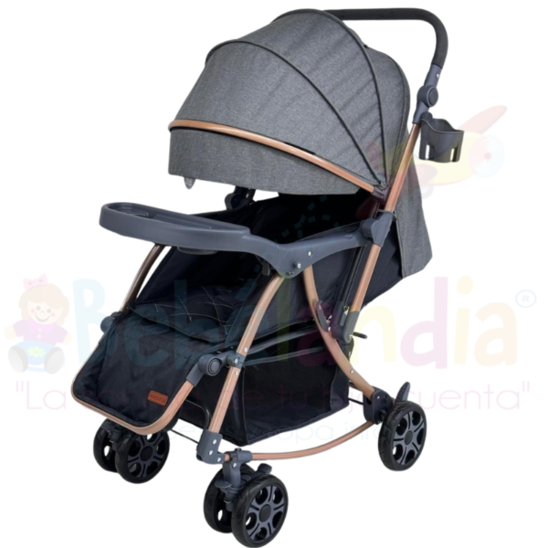 Coche Mecedor Reversible