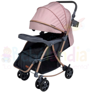 Coche Mecedor Reversible