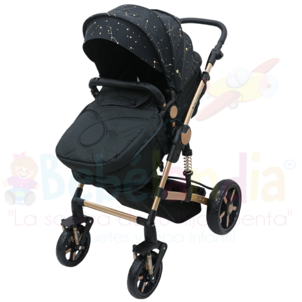 Coche Moises