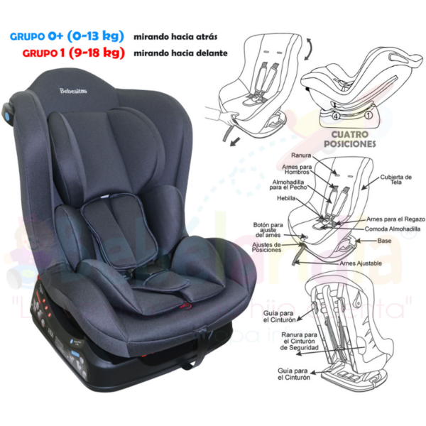 Silla de Carro