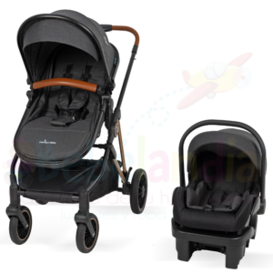 Coche Moises con Portabebe Ana