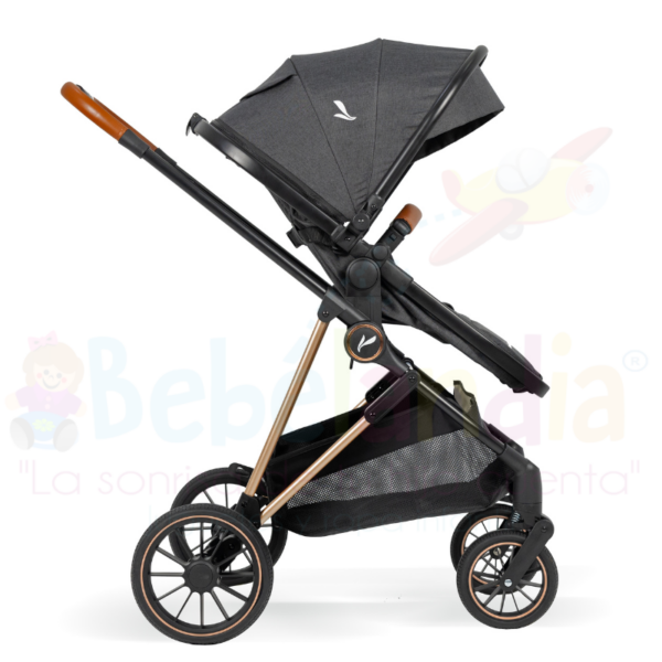 Coche Moises con Portabebe Ana - Imagen 5