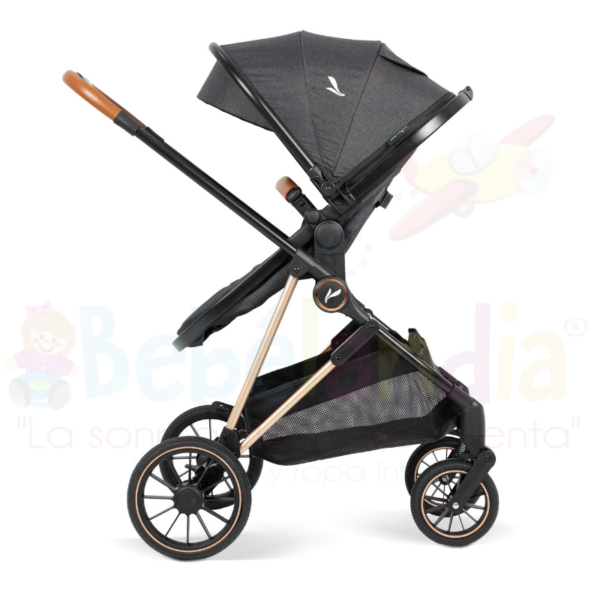 Coche Moises con Portabebe Ana - Imagen 2