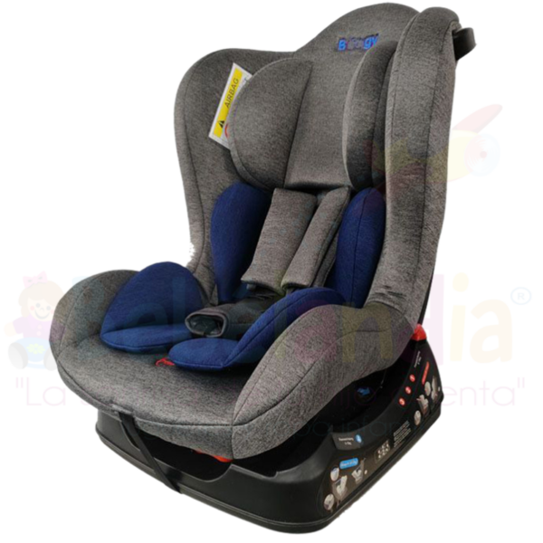 Silla de Carro