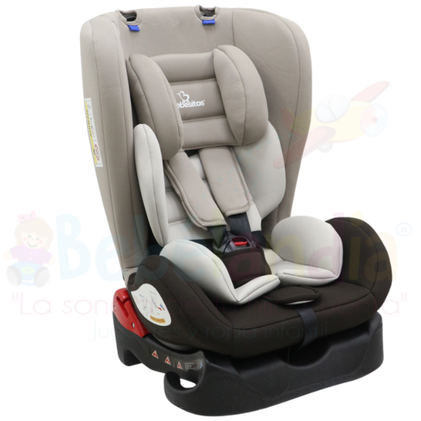 Silla de Carro