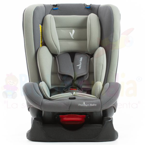 Silla de Carro Marsella - Imagen 2