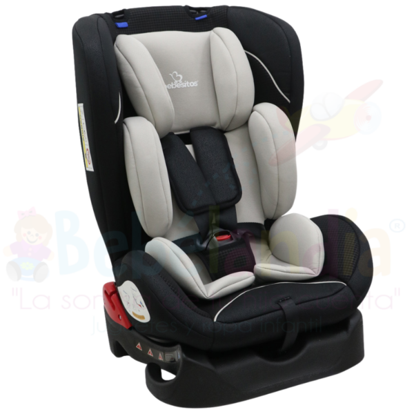 Silla de Carro