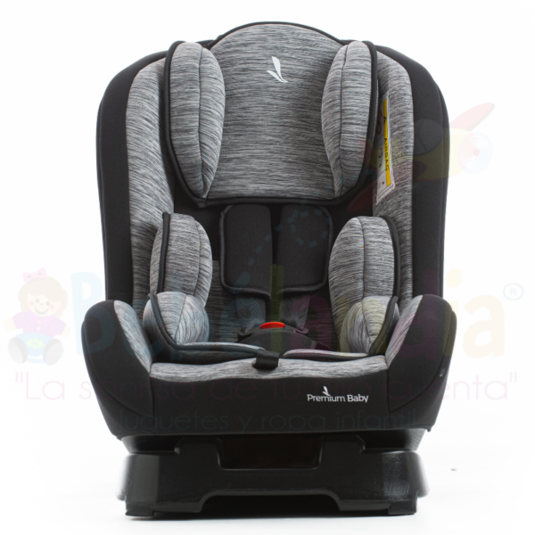 Silla de Carro Rio - Imagen 2