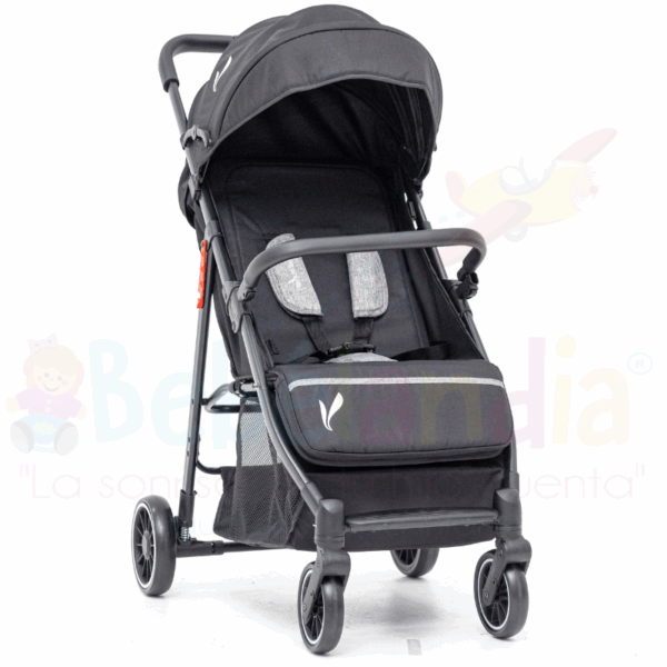 Coche Roma