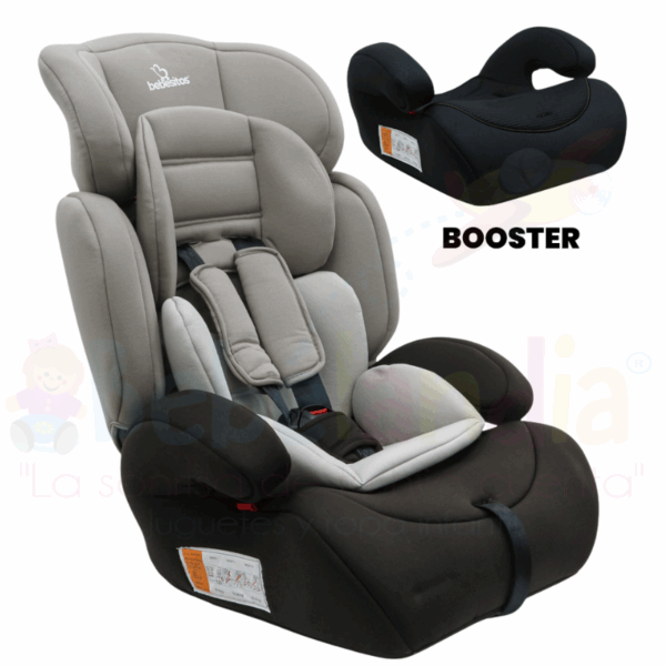 Silla de carro