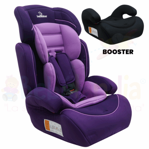 Silla de carro