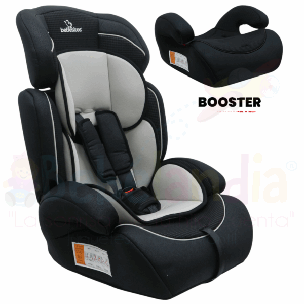 Silla de carro