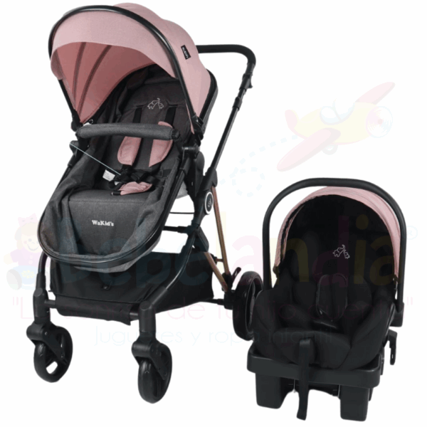 Coche Moises con Portabebe