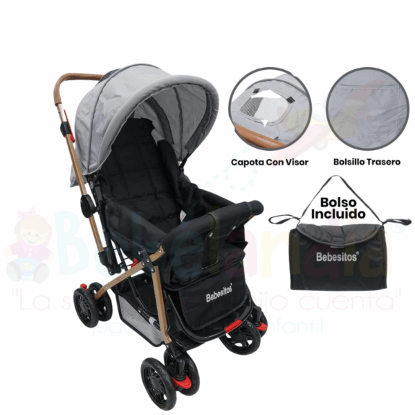 Coche Reversible