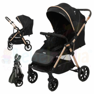Coche Reversible