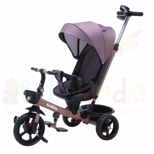 Coche Triciclo