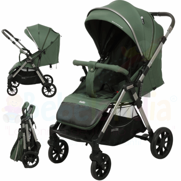 Coche Reversible