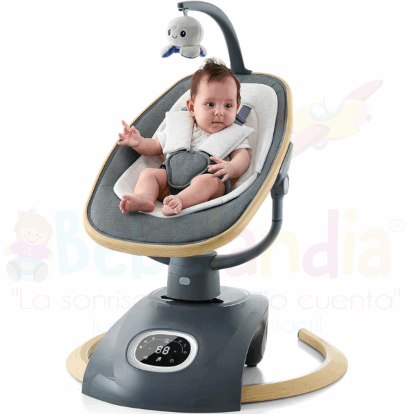 Columpio Eléctrico - Imagen 2
