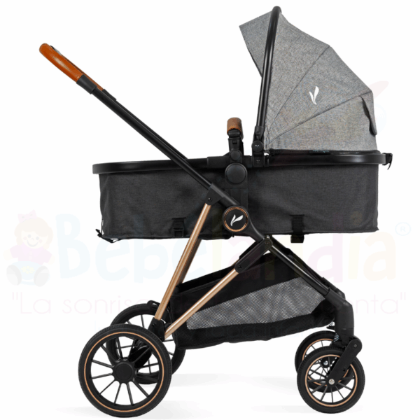 Coche Moises con Portabebe Anna - Imagen 2