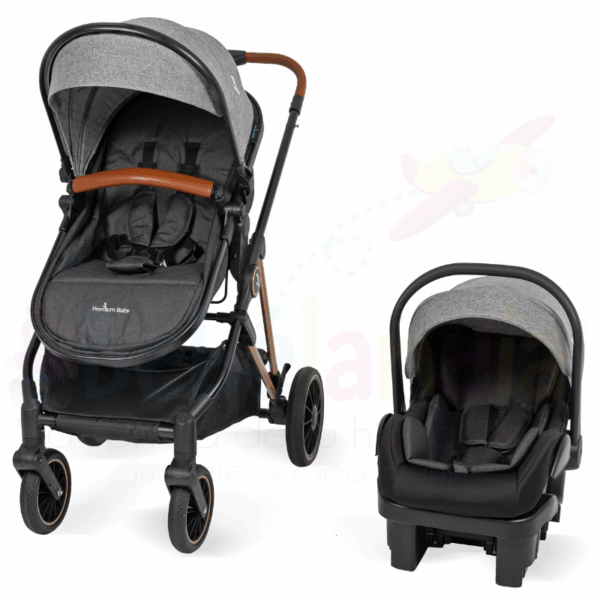 Coche Moises con Portabebe Anna